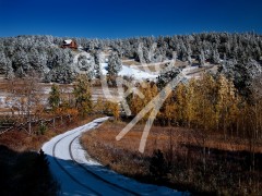 COLORADO Cripple Creek